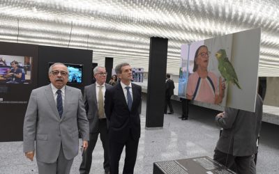 Mostra multimídia conta impacto das decisões do STJ na vida das pessoas