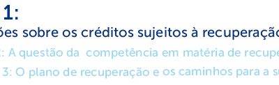 Em busca da recuperação: a jurisprudência do STJ sobre o processo de reabilitação das empresas