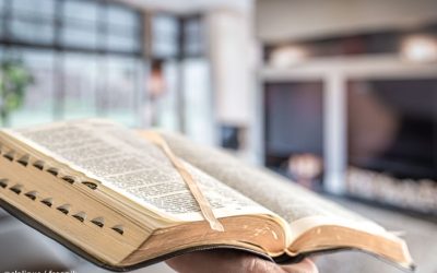 Repetitivos e temas de grande interesse social são destaque na pauta do segundo semestre