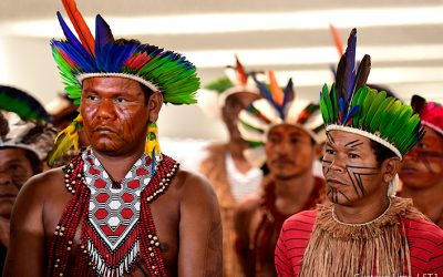 Cores, lutas, tradições: o STJ como campo de debate e de afirmação dos direitos dos povos indígenas
