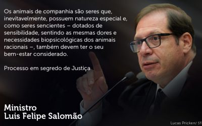 Animais de estimação: um conceito jurídico em transformação no Brasil