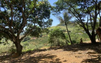 Fazenda Piranema, em Fundão/ES, recebe visita técnica da Comissão de Soluções Fundiárias do TRF2*